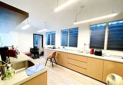 Serangoon Garden Estate (D19), Terrace #542966651